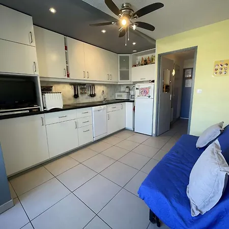 Marina Et Piscine St Cyprien Sc270-014 Apartment *